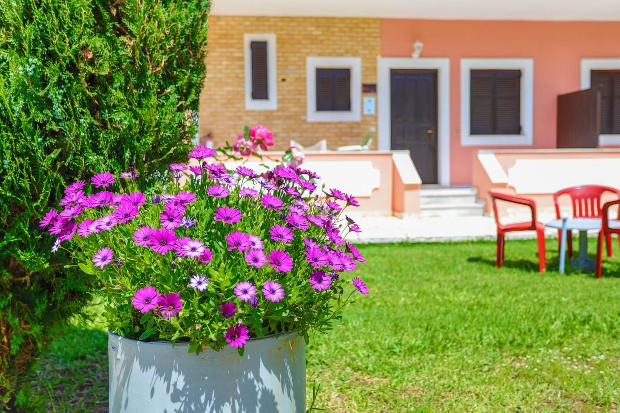 Amarylis Apartment Almiros Beach Exterior photo